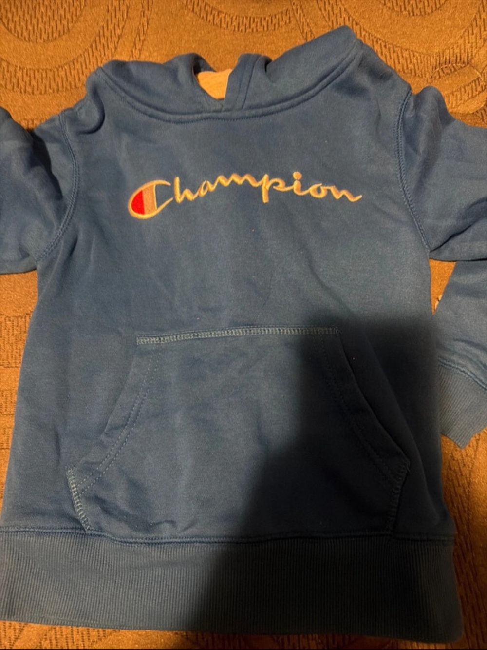 Champion Kids Navy Blue Hooded Sweatshirt with Script Logo